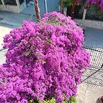 La Mira House Apart Otel 3*