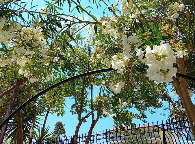 La Mira House Apartahotel Neos Marmaras